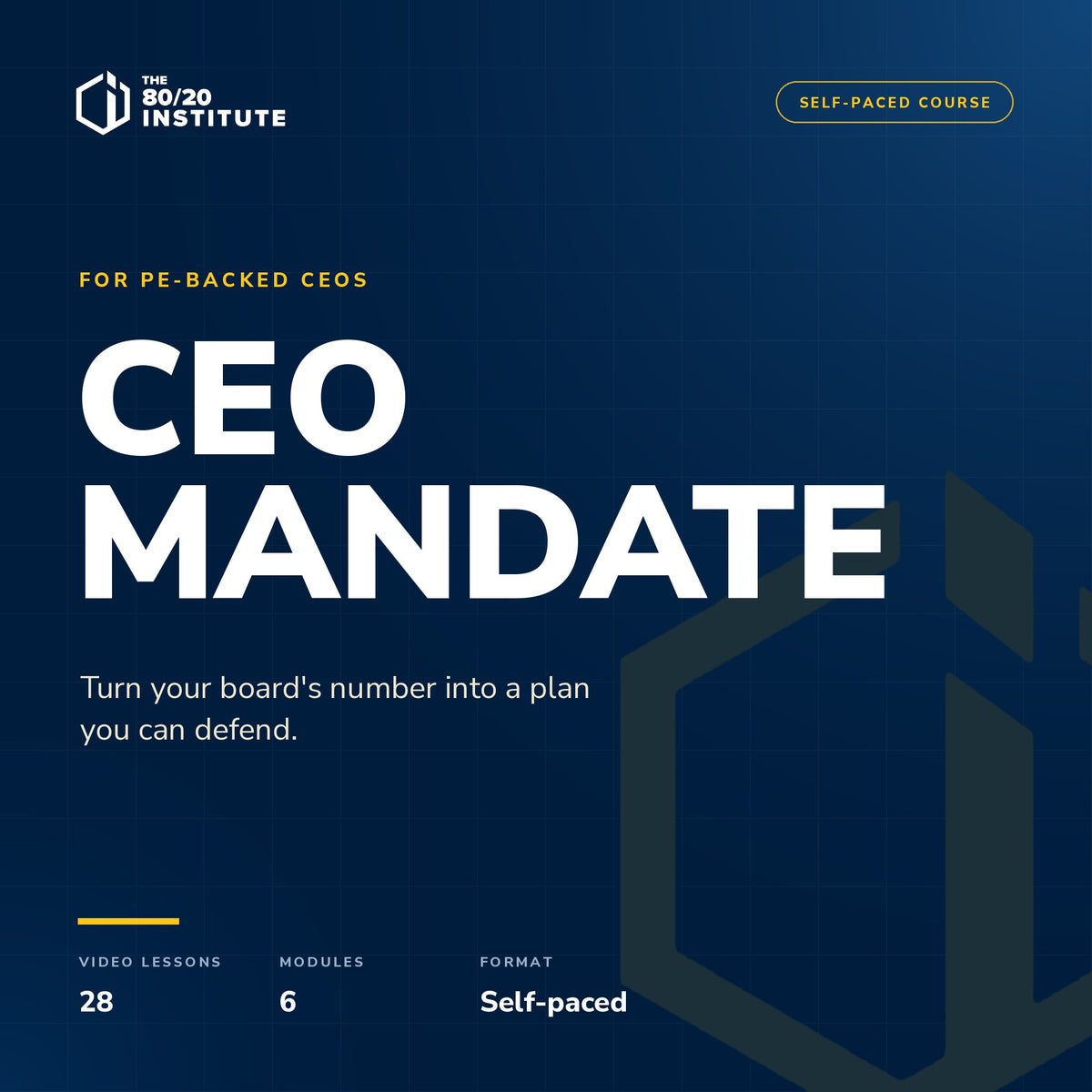 CEO Mandate self-paced course by The 80/20 Institute — 28 video lessons in six modules